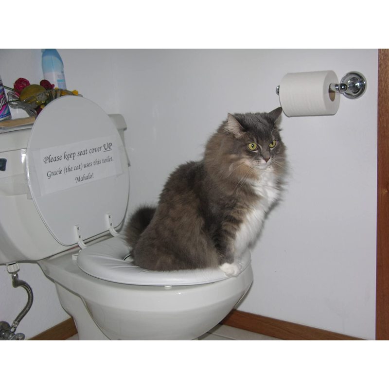 Cat Toilet Professional Trainning Tool Pet Toilet Seat Trainning Cover Urinal Seat