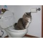 Cat Toilet Professional Trainning Tool Pet Toilet Seat Trainning Cover Urinal Seat