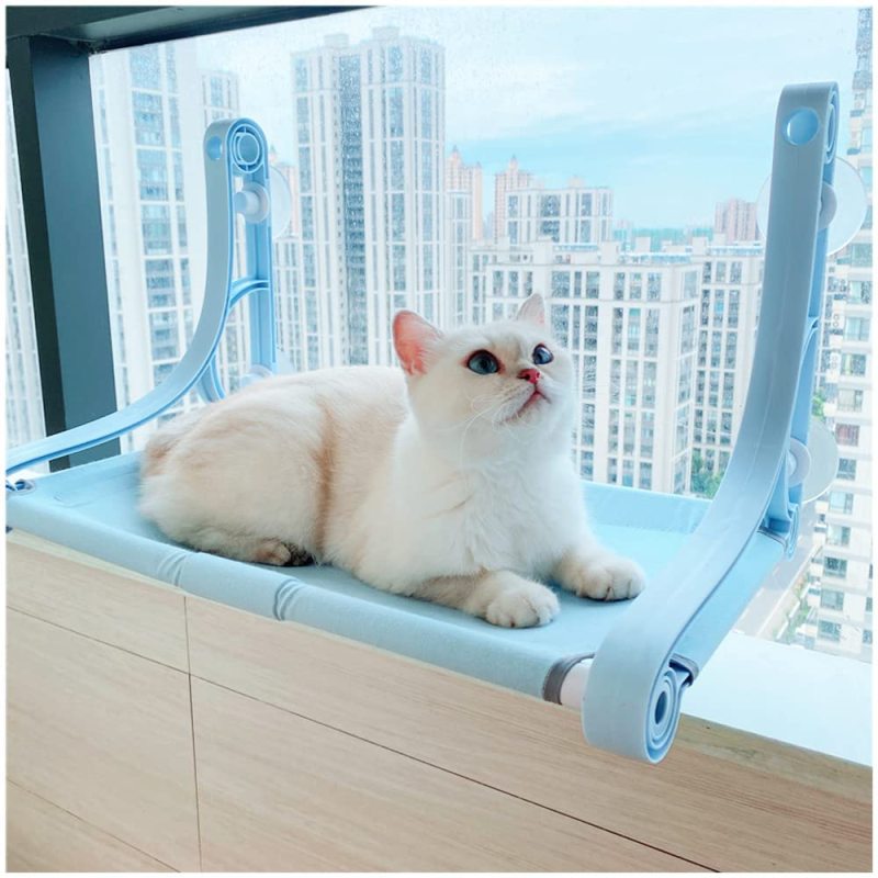 Safe and Comfortable Cat Hammock For Wall Kitty Beds Hold Up Indoor Pets Use