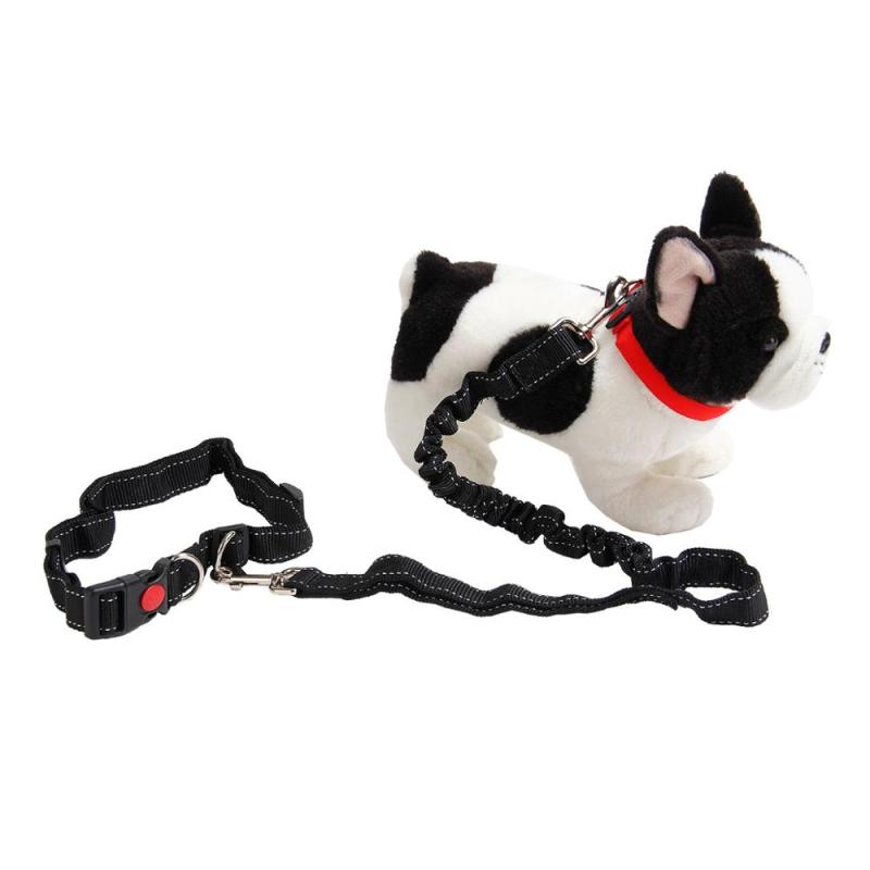 Black Rope Dog Leash hands Free Dog Bungee Comfortable and Safety retractable dog leash