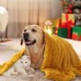 Soft and Washable Faux Fur Fuzzy Dog Blanket Reversible Faux Fur Fleece Throw Blanket for Couch