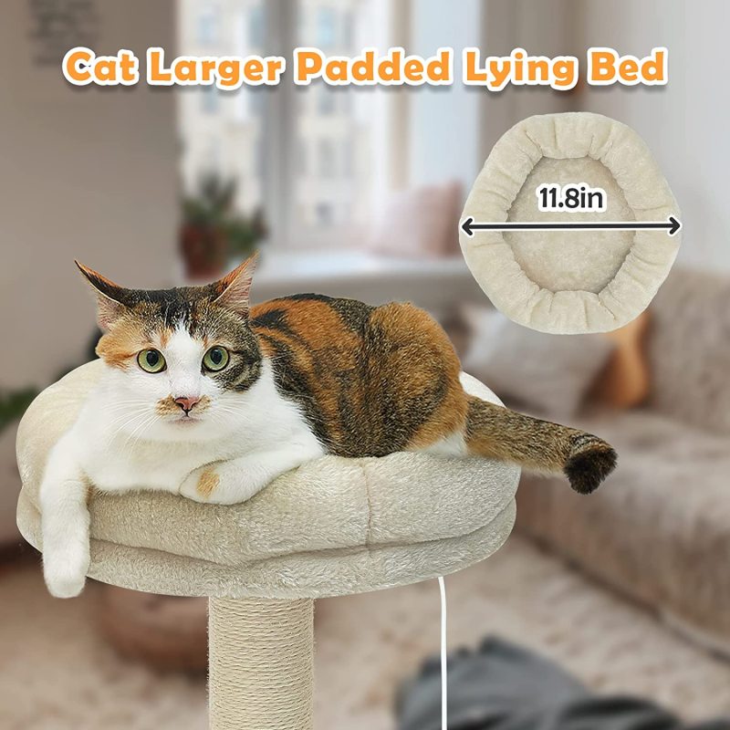 Cat Claw Scratcher Thickened Bottom Plate with Padded Lying Bed and Toy Cat Tree