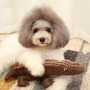 Pet Chew Plush Toys Animal Squealer Vocal Crocodile Cat Toy Chew Chirping  Dog Plush Chew Toy