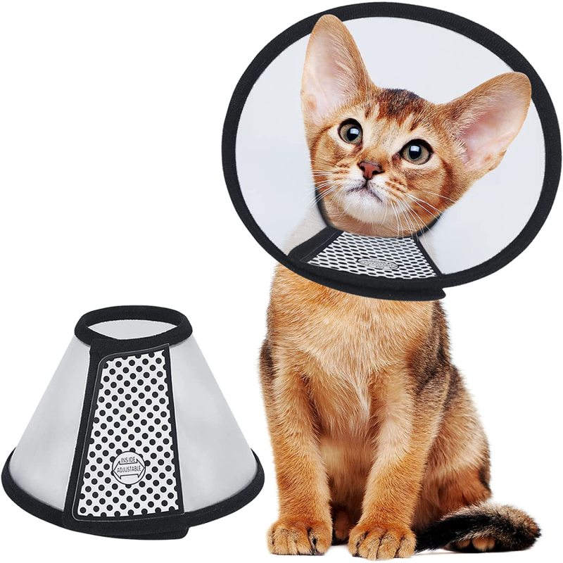 Lightweight Plastic Elizabethan Collar Recovery Pet Cone for Small Pet