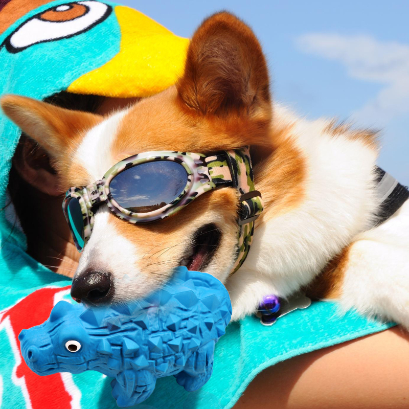Dog Chew Toys for Breed, Indestructible Tough Durable Toys for Aggressive Chewers, Puppy Teething Chew Teeth