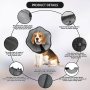Comfort Cone Protective Pet Recovery Collar for Large Medium Small Dogs