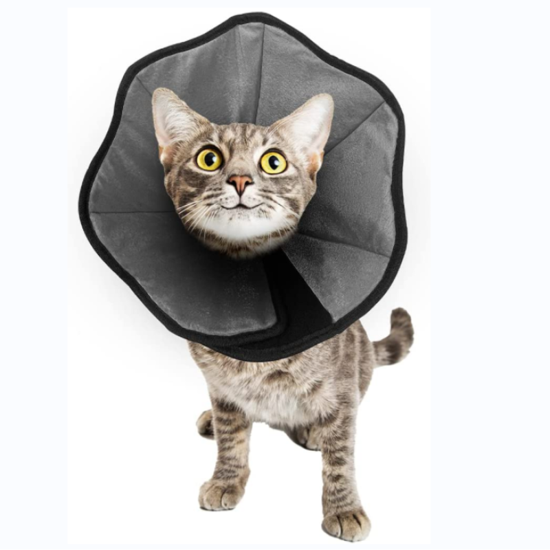 Comfort Cone Protective Pet Recovery Collar for Large Medium Small Dogs