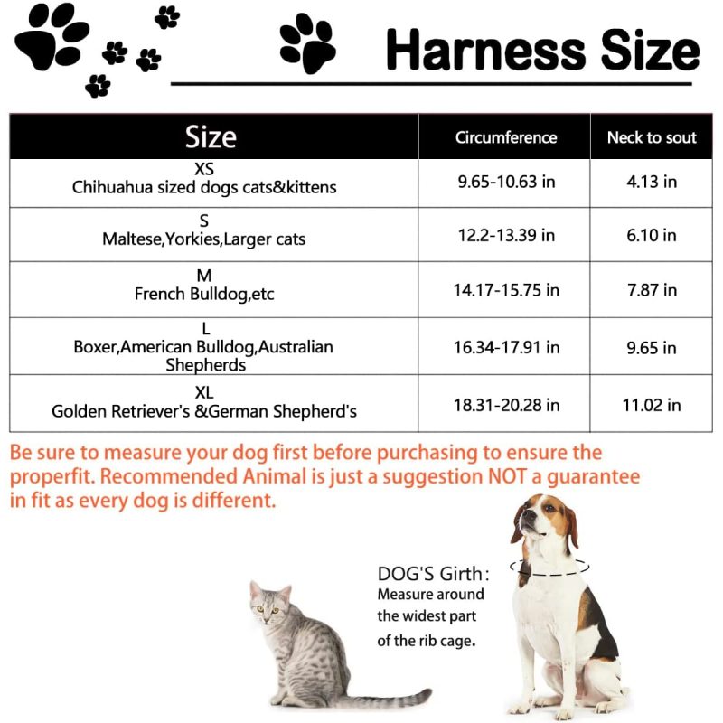 Comfort Cone Protective Pet Recovery Collar for Large Medium Small Dogs