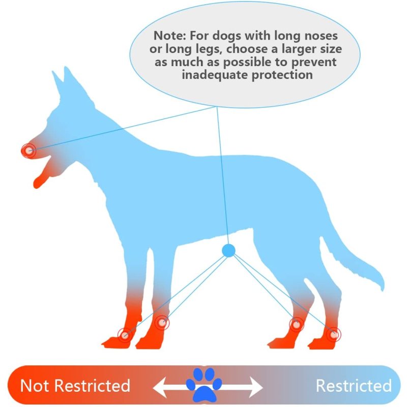 Comfort Cone Protective Pet Recovery Collar for Large Medium Small Dogs