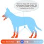 Comfort Cone Protective Pet Recovery Collar for Large Medium Small Dogs
