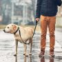 Comfortable Padded Handles Duty Dog Leash Reflective Walking Lead for Dogs