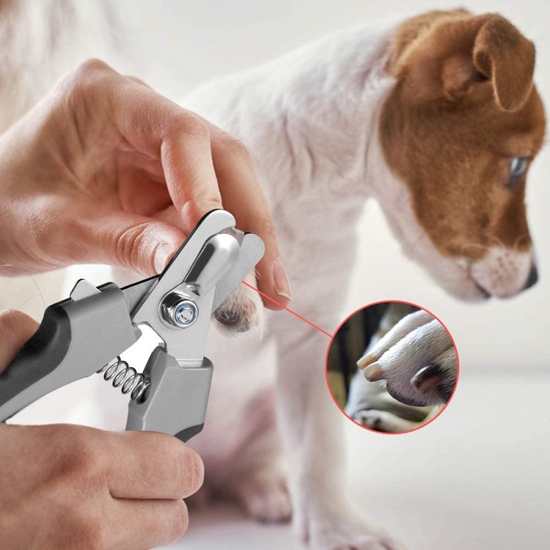 Dog Nail Trimmer with Safety Guard and Nail File