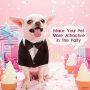 Puppy Pet Small Dog Wedding Shirt Formal Tuxedo With Black Tie For Suit Party Outfit Dog Prince Wedding Bow Tie