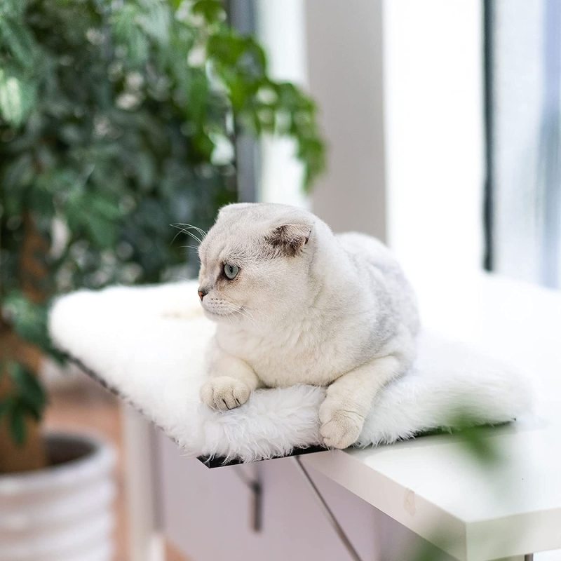 Sill Cat Perch Cat Window Hammock Shelf for Kitty Sill