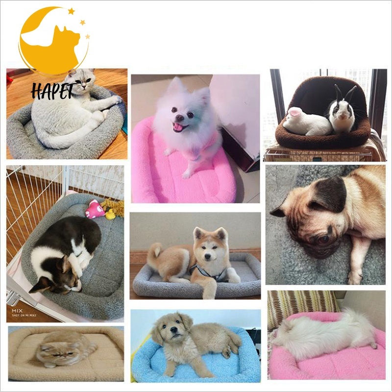 Ultra Soft Pet (Dog/Cat) Bed Mat with Cute Prints | Reversible Fleece Dog Crate Kennel Pad | Machine Washable Pet Bed Liner