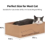 Cat Scratcher Cardboard 5 PCS with Box Reversible Cat Scratch Pad