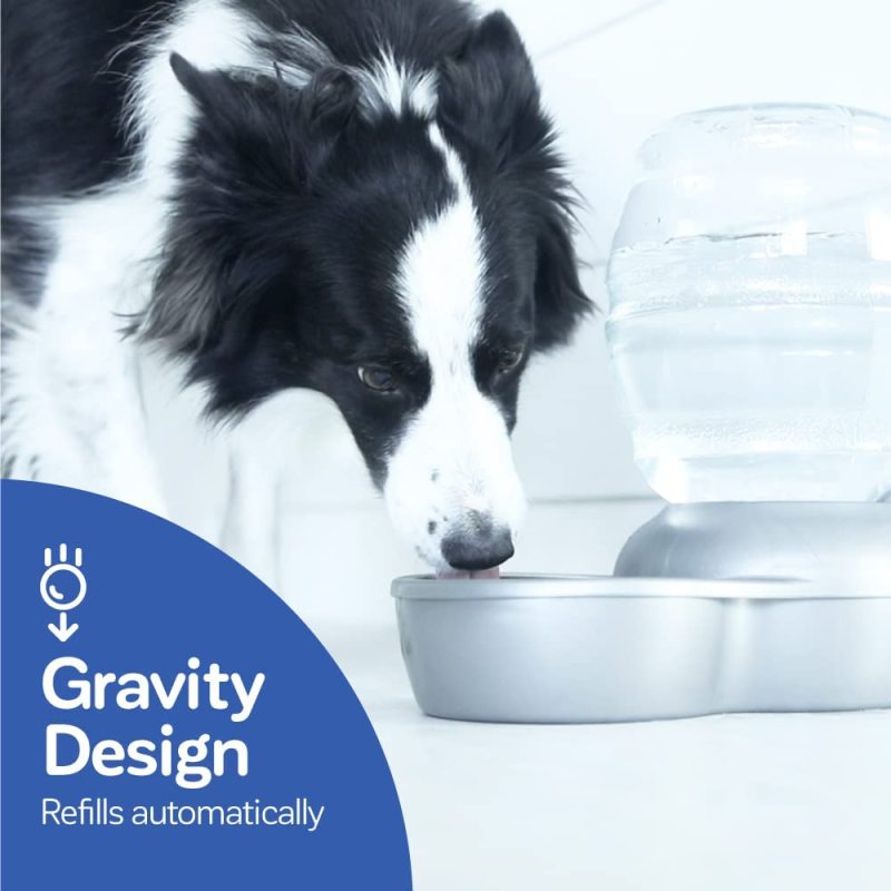 Cat and Dog Water Dispenser