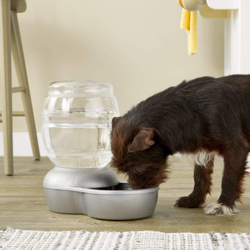 Cat and Dog Water Dispenser