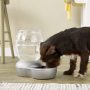 Cat and Dog Water Dispenser