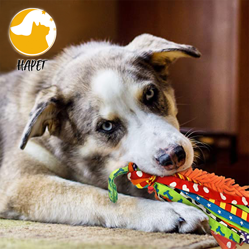 Dog Tug Toy Dog Toys for Aggressive Chewers Dog Rope Toy