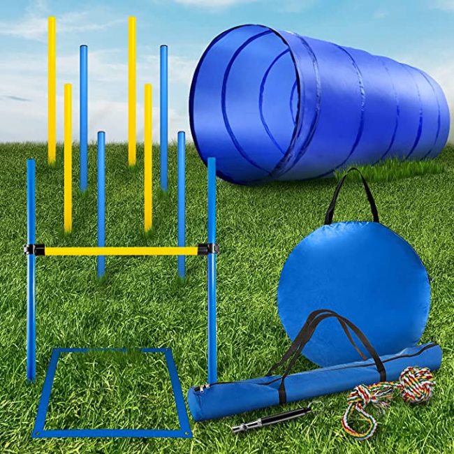 PET Dog Agility Training Equipment and Interactive Dog Jumping Practice  Agility Starter Kit