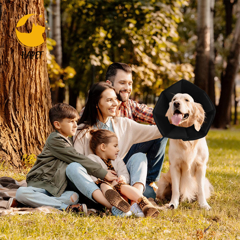 Dog Recovery Cone Soft Pet Collar Comfy E-Collar to Prevent From Licking Biting Scratching