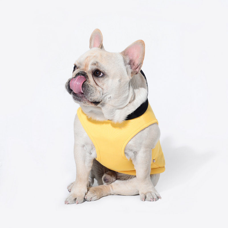 Wholesale Fashions Pet Clothes Dog Warm Cotton Sweatshirts Dog Hoodie Pet Clothes For Small Medium Dogs Pet Puppy Cat