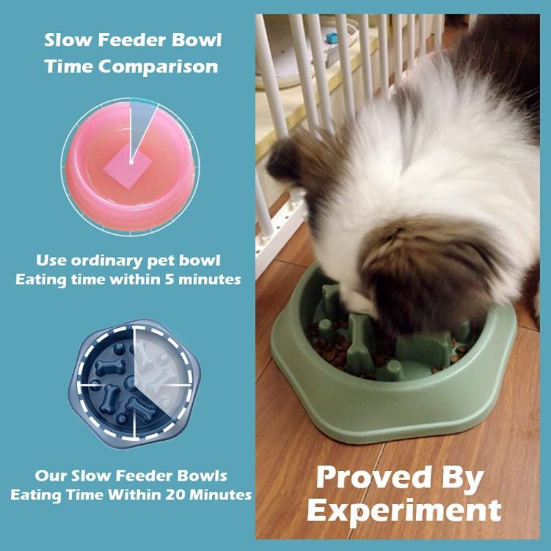Pet Bowl Eating Dog Slow Feeder Bloat Peanut Butter Lick Pad