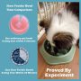 Pet Bowl Eating Dog Slow Feeder Bloat Peanut Butter Lick Pad