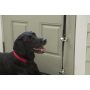 Dog Training and Housebreaking Dog Door Bell for Potty Training Puppies