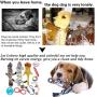 Dog Toys Plush Dog Squeaky Toys Rope Pack Dog Gift Toy Set