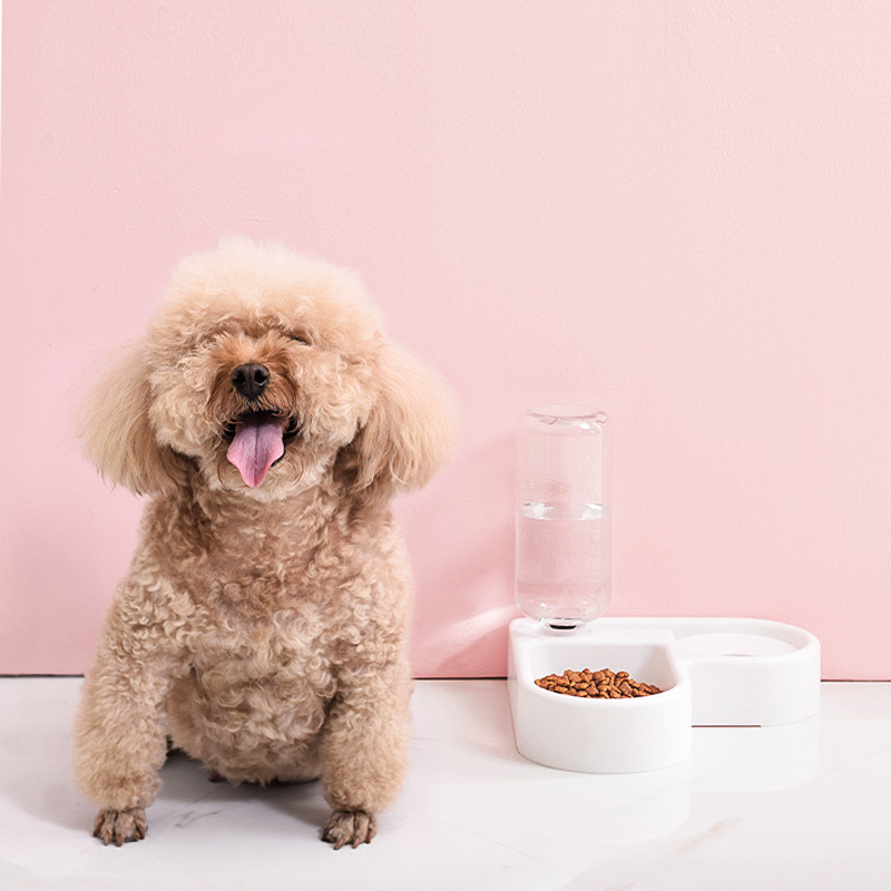 High Quality Cheap Luxury Pet Feeding Love Pattern Water Drinking Double Plastic Pet Bowl
