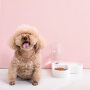High Quality Cheap Luxury Pet Feeding Love Pattern Water Drinking Double Plastic Pet Bowl