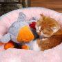 Heartbeat Replacement Soother Heartbeat Simulator for Puppy Sleep Aid Calming Plush Toys