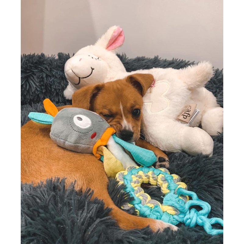 Heartbeat Replacement Soother Heartbeat Simulator for Puppy Sleep Aid Calming Plush Toys