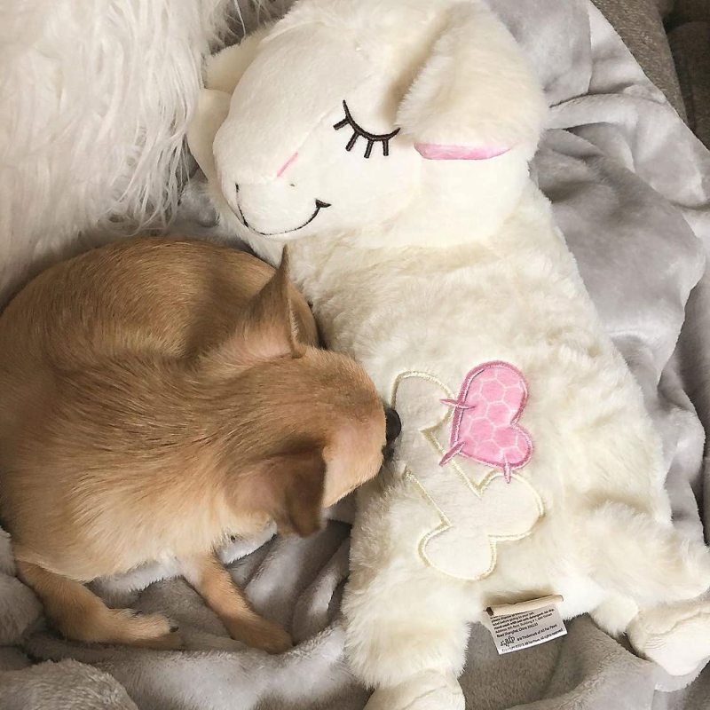 Heartbeat Replacement Soother Heartbeat Simulator for Puppy Sleep Aid Calming Plush Toys