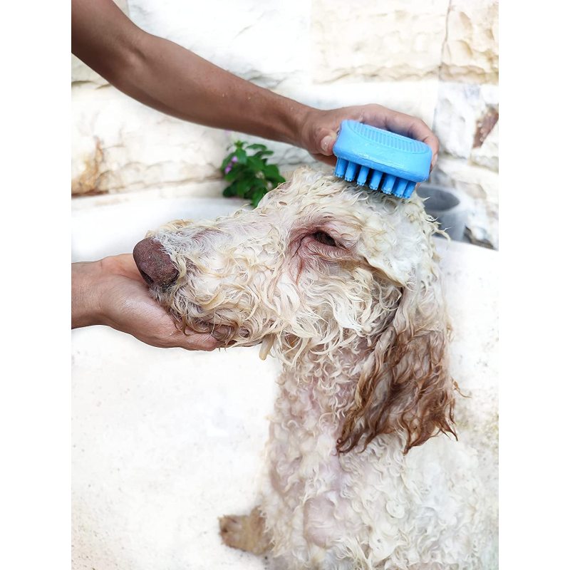 Silicone Dog Bath Brush Pet Hair Remover Brush for Shampooing and Massaging