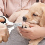 Update Version Cat Professional Nail Cutter For Pet Claw Nail Clean