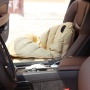 Wholesale Dog Car Seat Pet Carrier Bed Booster Seat Pet Carry Bag For Dogs Crease Resist Pet House Outdoor Travel Bag Tote Bag