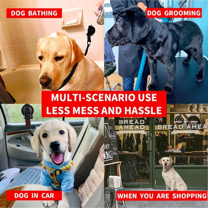 Dog Bathing Tether with Heavy Suction Cup Dog Grooming Tub Restraint Soft Nylon Leash with Adjustable Collar