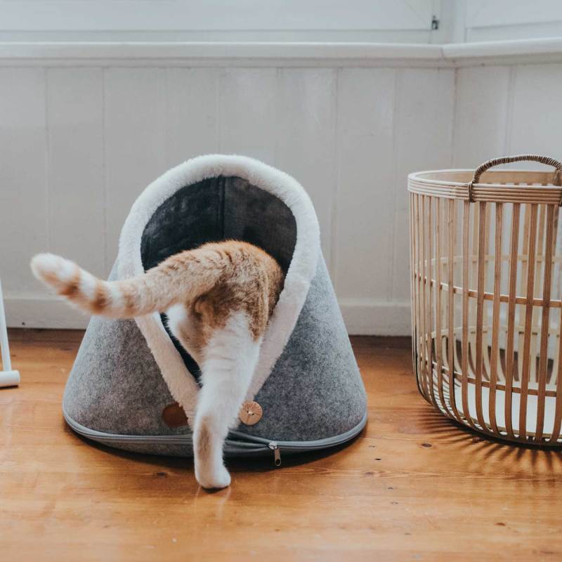 Cat cave Bed for Indoor Cats Cat House Pet Products