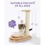 Cat Scratching Post Cat Scratcher Toy Wooden Two-Layer Cat Turntable with Interactive Balls and Dangling Ball