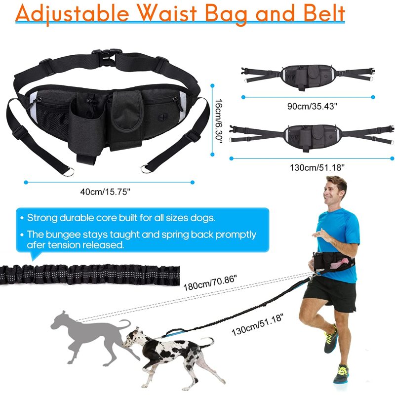 Adjustable Waist Belt Reflective Bungee Leash with Car Seatbelt Buckle and Dual Padded Handles