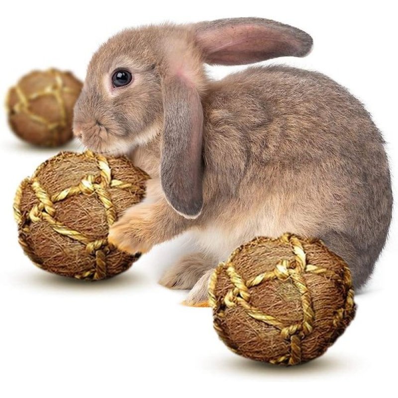 Eco Friendly for Small Animals Teeth Grinding Treats For Small Animals in Cage Rabbits Toys Pet Small Animal