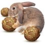 Eco Friendly for Small Animals Teeth Grinding Treats For Small Animals in Cage Rabbits Toys Pet Small Animal