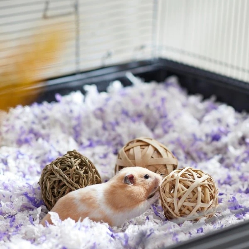 Eco Friendly for Small Animals Teeth Grinding Treats For Small Animals in Cage Rabbits Toys Pet Small Animal