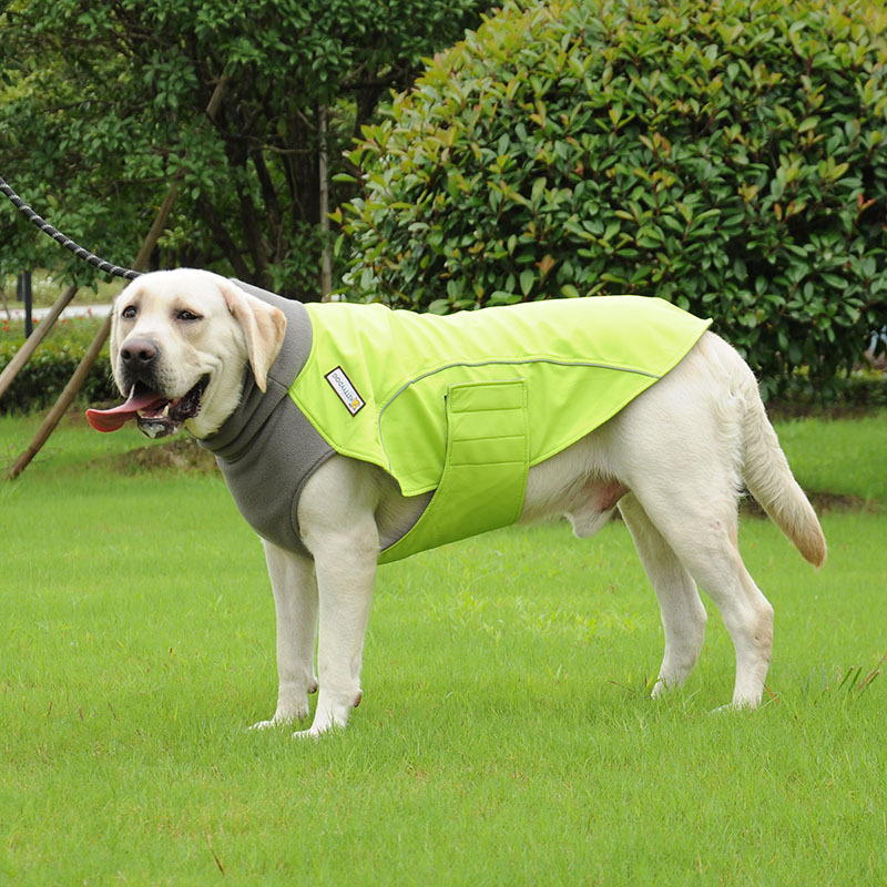 2021 New design Dog Raincoat Waterproof Coat for Dogs Fleece lining warm outdoor coat for Pets