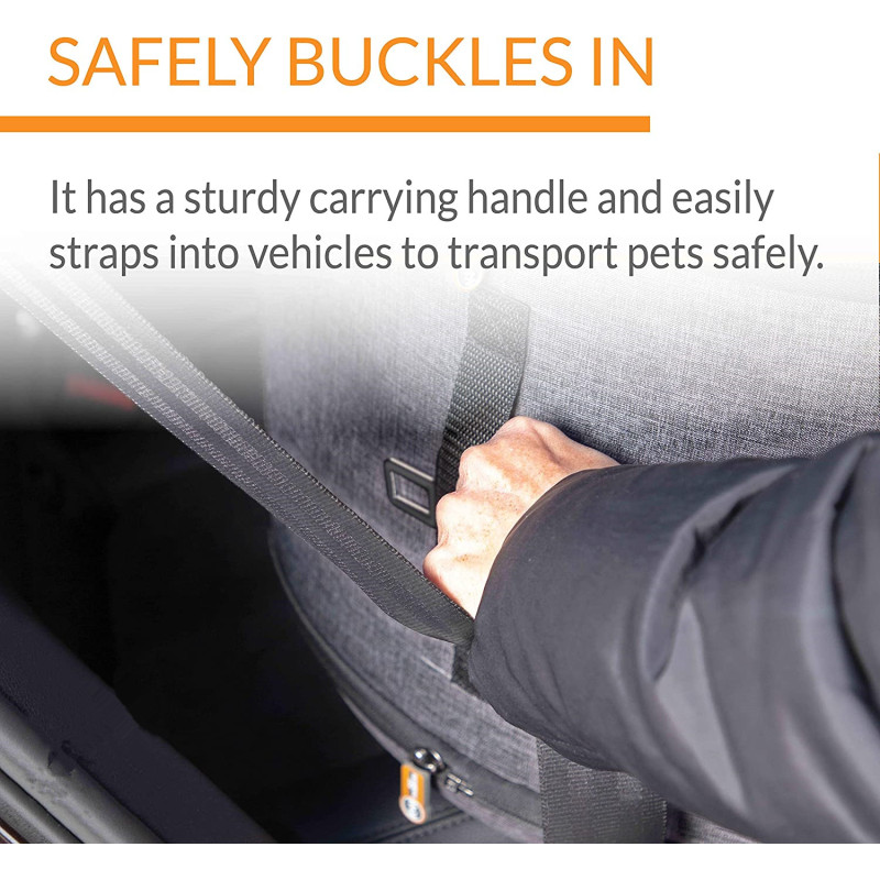 Shelter Classy Capsule Pet Carrier For Easy to Bring it