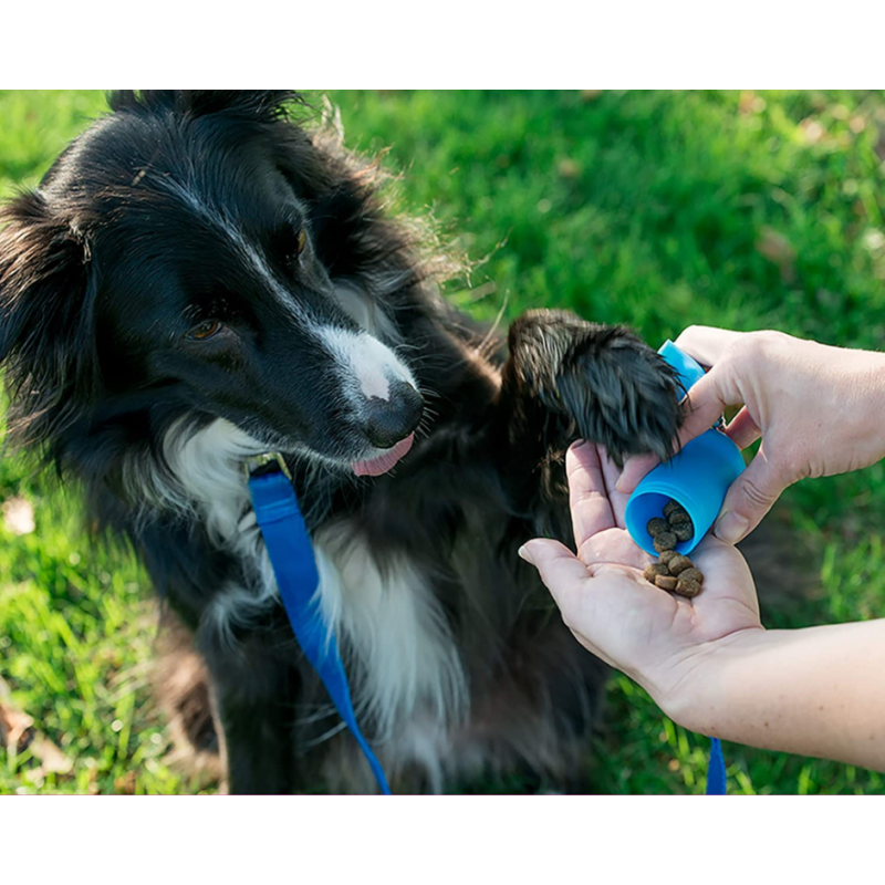 Treat Pod Treat Container Leash Storage Solution Portable Training Aide