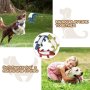 Squeaky Toys for Puppies, Value 3 Pack Set of Dog Chew Toy for Teething Chewing and Playtime